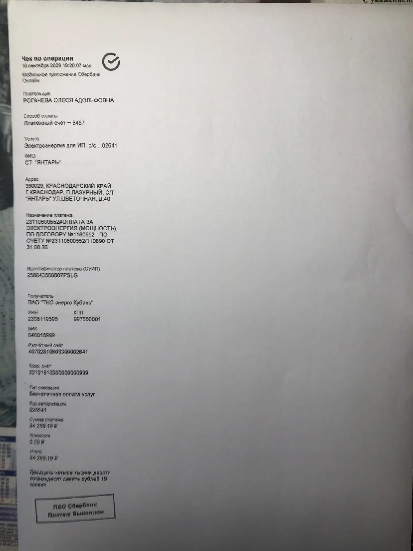 Чек за сентябрь 2026 — 16.09.2026, 24289,19 руб.